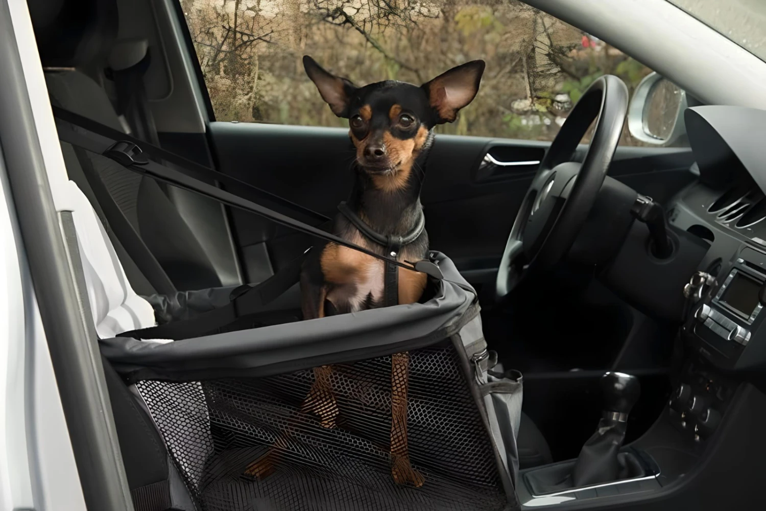 Dodge Durango Dog Carrier Car Seat for Toy Manchester Terrier