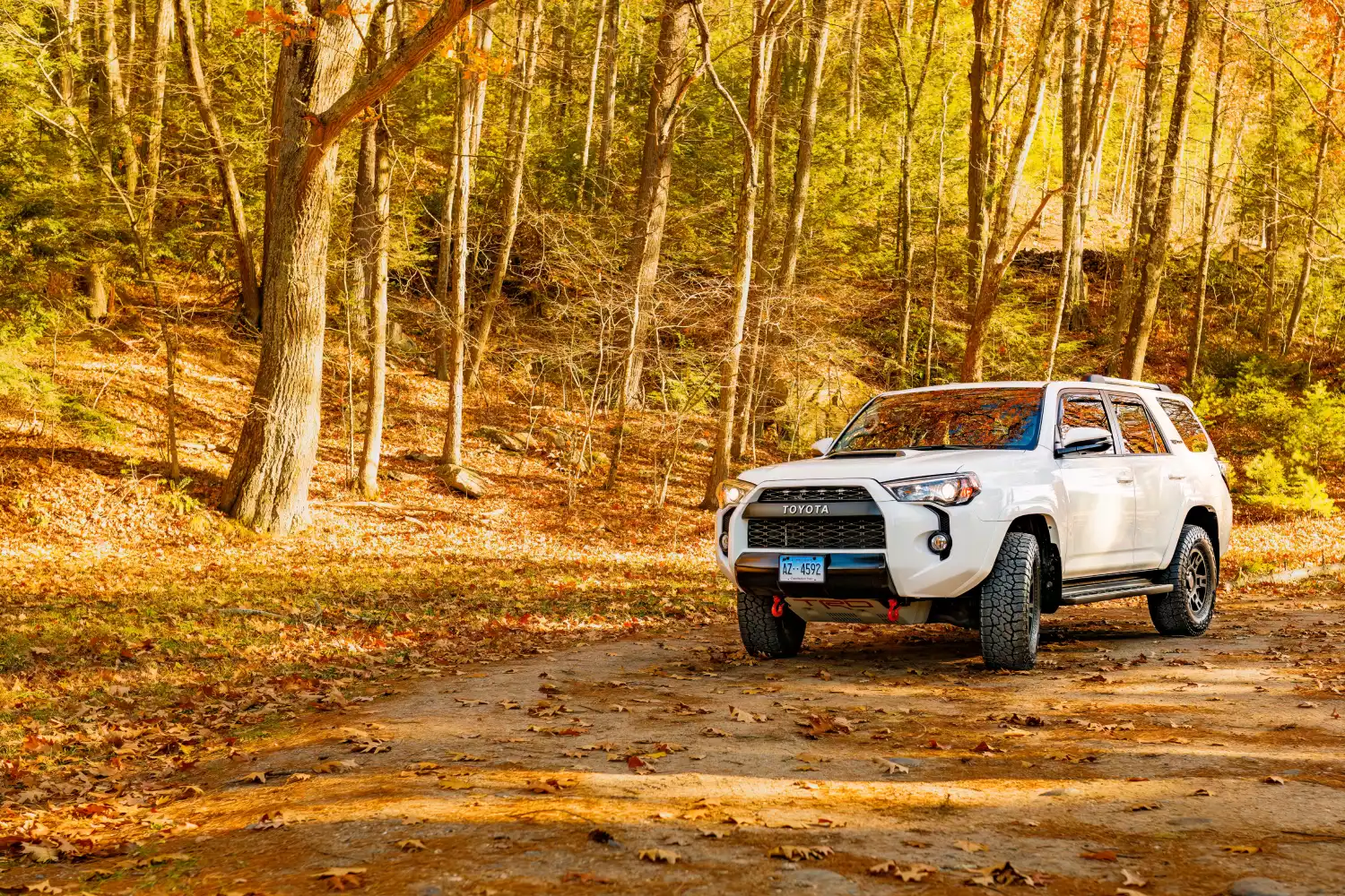 Toyota 4Runner organizer for road trip