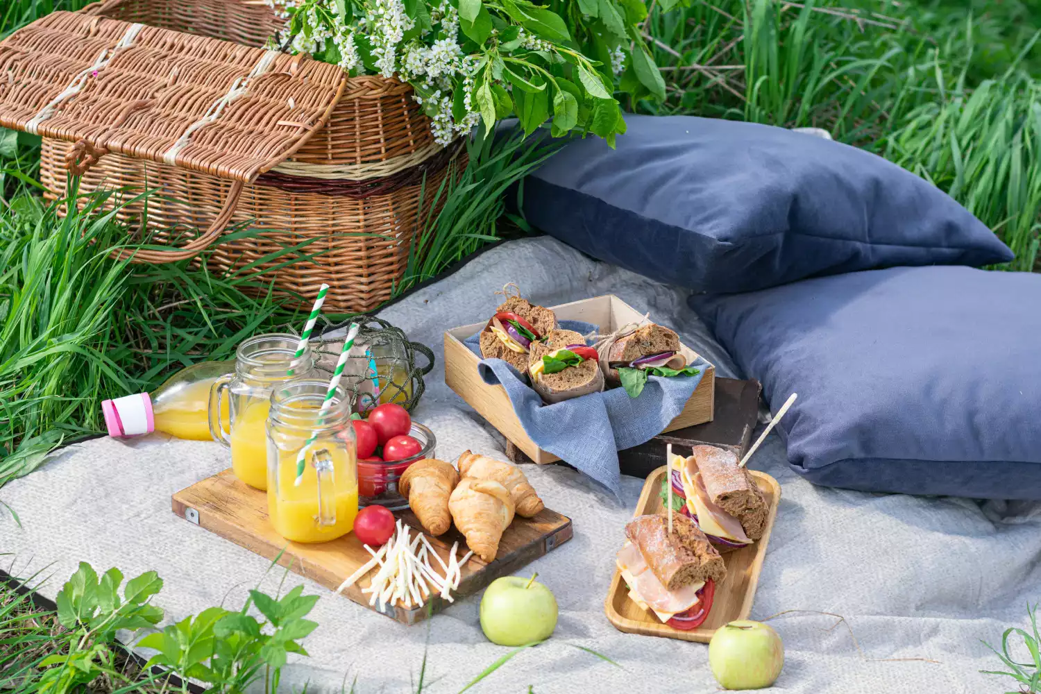 the best picnic blanket