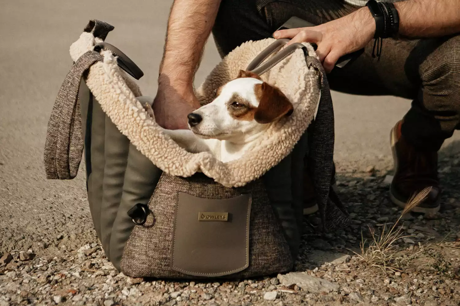 Border Terrier Dog Carrier Car Seat for Jeep Wrangler