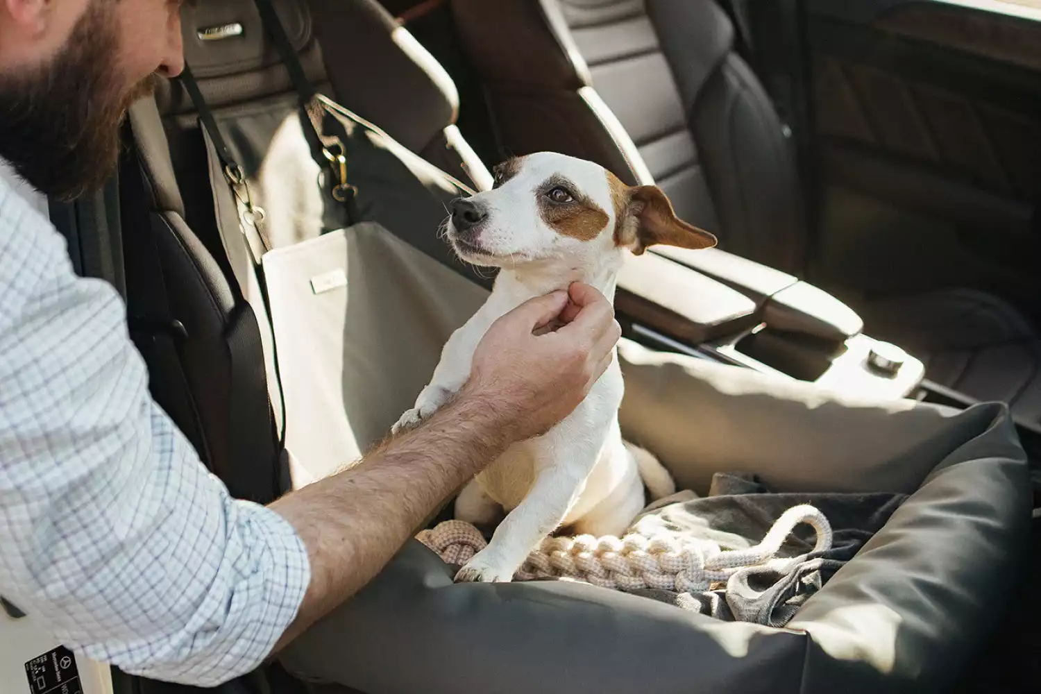 Shiba Inu Dog Car Seat for Nissan Rogue