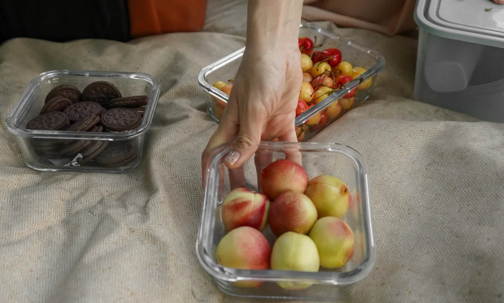 best water resistant picnic blanket