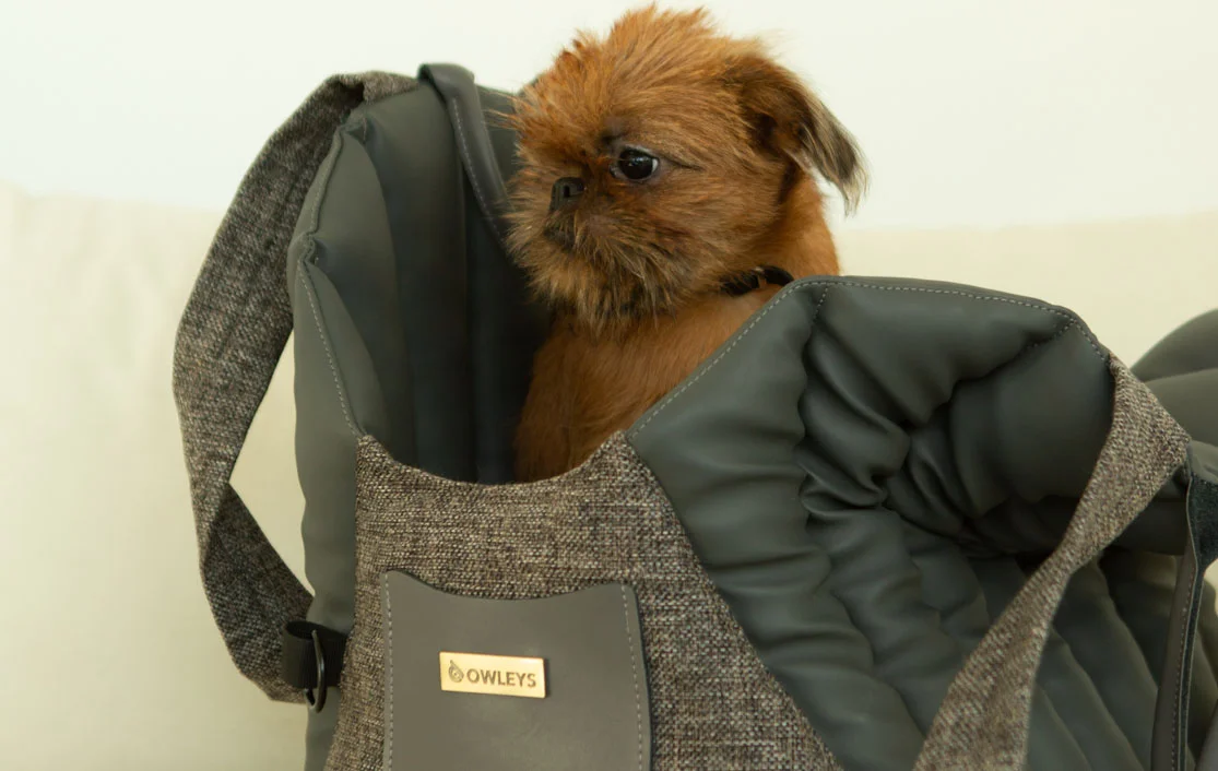 Dog Carrier Purse for Biewer Terrier